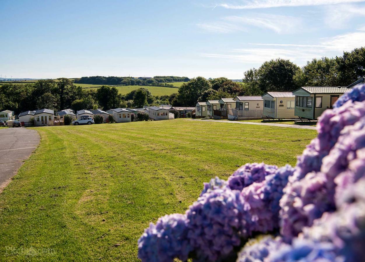 Trevella Holiday Park New Quay Exterior foto