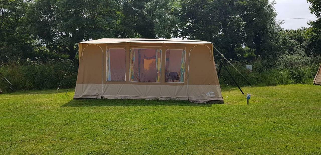 Trevella Holiday Park New Quay Exterior foto